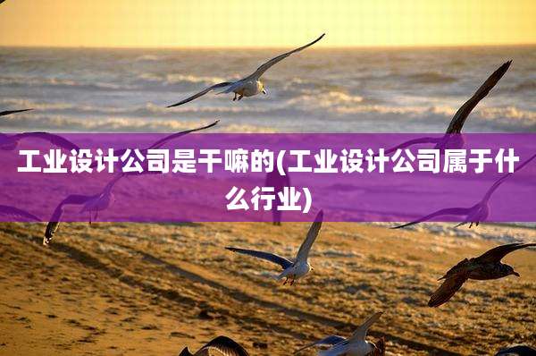 工业设计公司是干嘛的(工业设计公司属于什么行业)