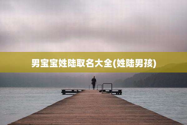 男宝宝姓陆取名大全(姓陆男孩)