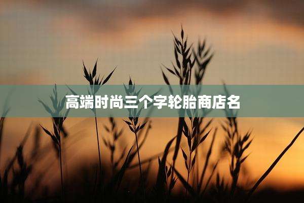 高端时尚三个字轮胎商店名