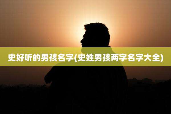 史好听的男孩名字(史姓男孩两字名字大全)