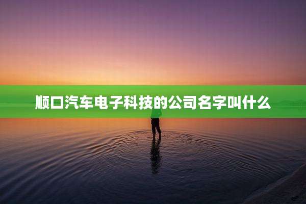 顺口汽车电子科技的公司名字叫什么