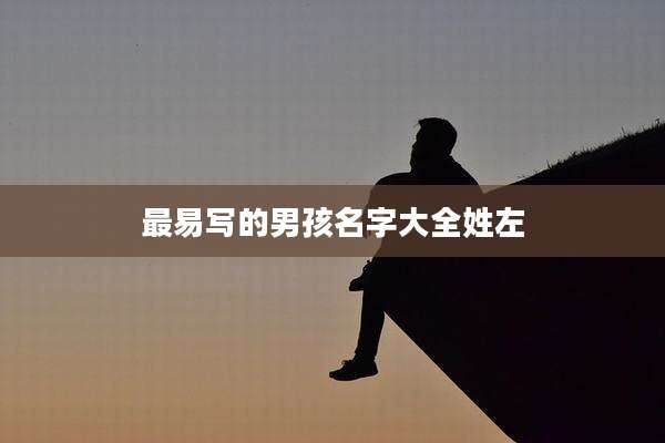 最易写的男孩名字大全姓左
