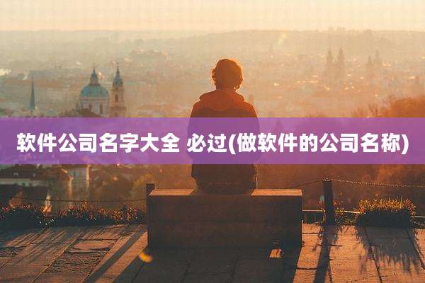 软件公司名字大全 必过(做软件的公司名称)