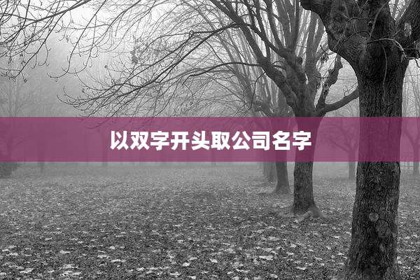 以双字开头取公司名字