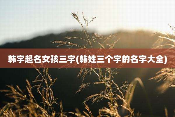 韩字起名女孩三字(韩姓三个字的名字大全)