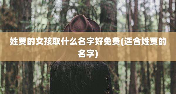 姓贾的女孩取什么名字好免费(适合姓贾的名字)