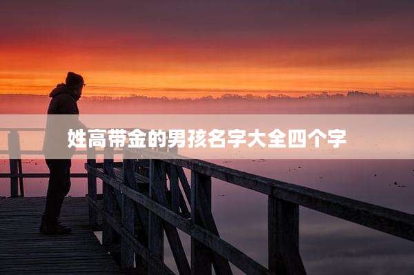 姓高带金的男孩名字大全四个字