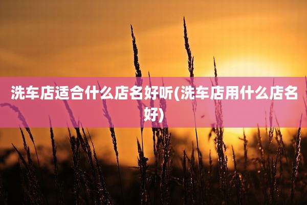 洗车店适合什么店名好听(洗车店用什么店名好)