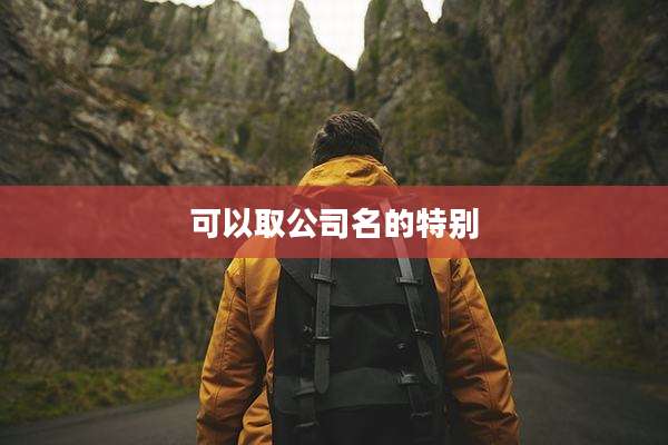 可以取公司名的特别