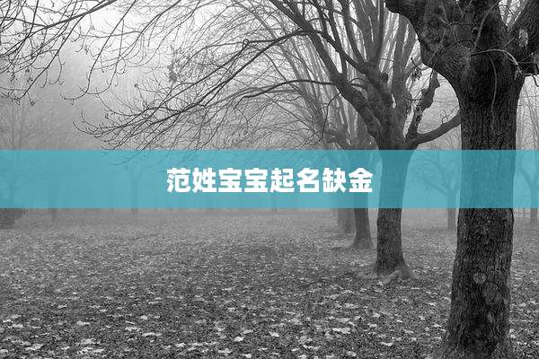 范姓宝宝起名缺金