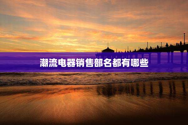 潮流电器销售部名都有哪些