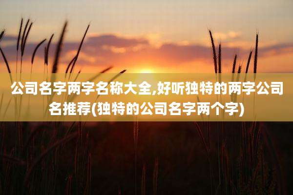 公司名字两字名称大全,好听独特的两字公司名推荐(独特的公司名字两个字)