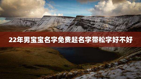 22年男宝宝名字免费起名字带松字好不好