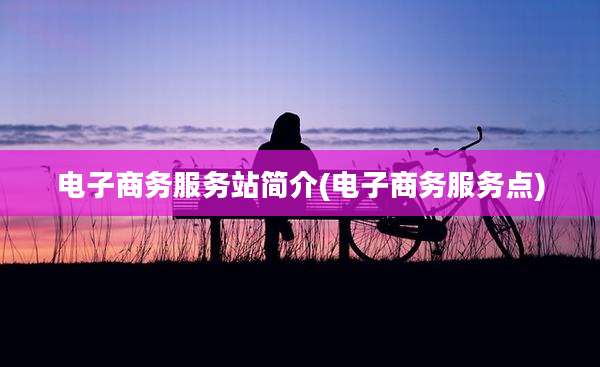 电子商务服务站简介(电子商务服务点)