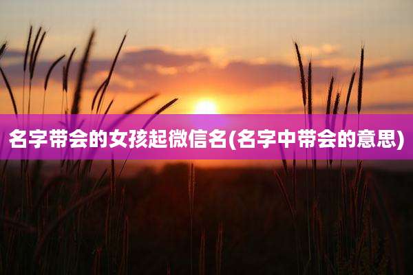 名字带会的女孩起微信名(名字中带会的意思)