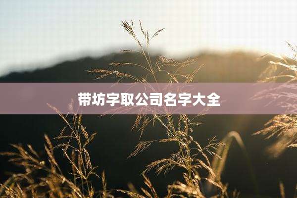 带坊字取公司名字大全