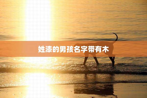 姓漆的男孩名字带有木