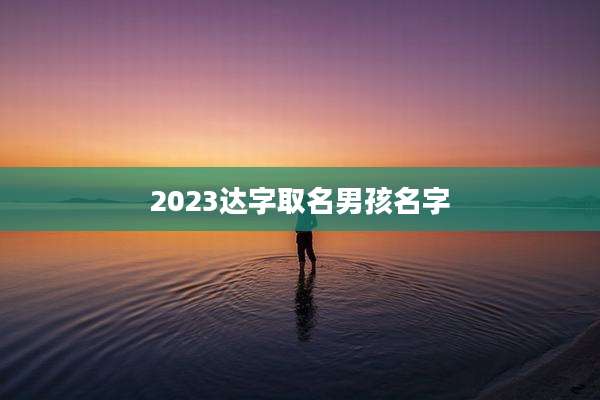 2023达字取名男孩名字