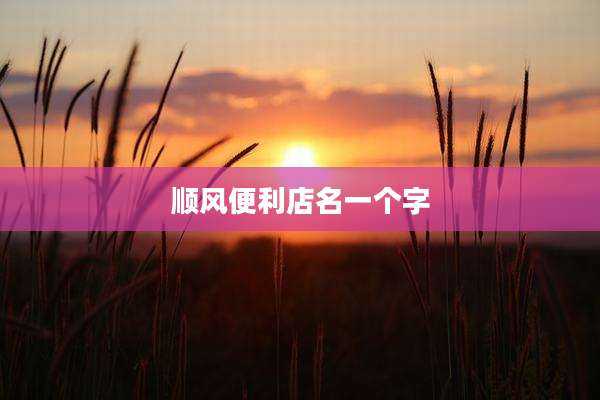 顺风便利店名一个字