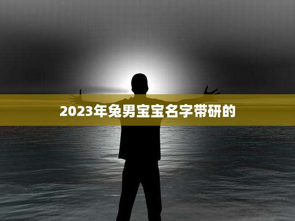 2023年兔男宝宝名字带研的