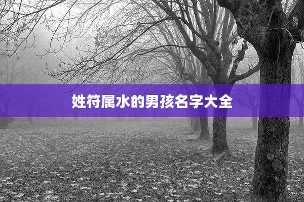 姓符属水的男孩名字大全