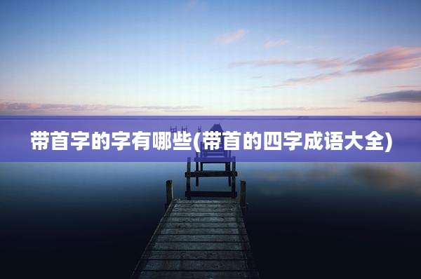 带首字的字有哪些(带首的四字成语大全)
