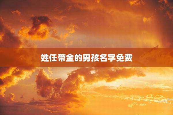 姓任带金的男孩名字免费