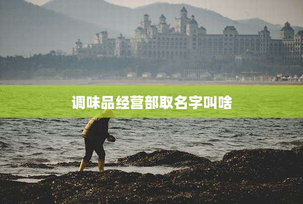 调味品经营部取名字叫啥