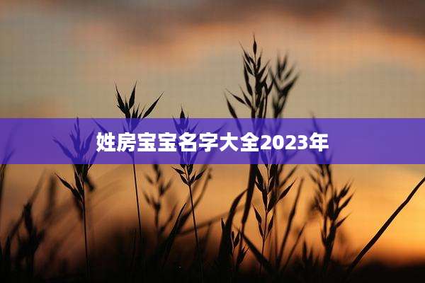 姓房宝宝名字大全2023年