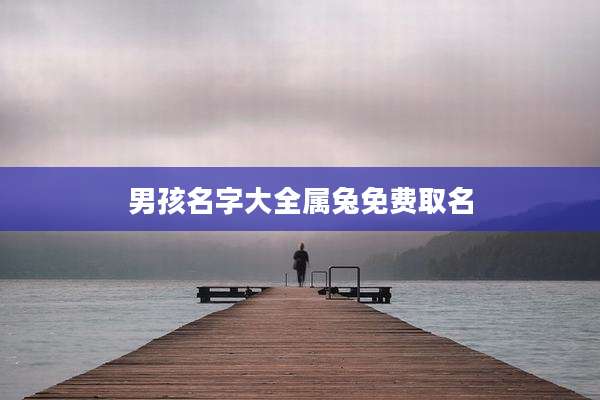 男孩名字大全属兔免费取名