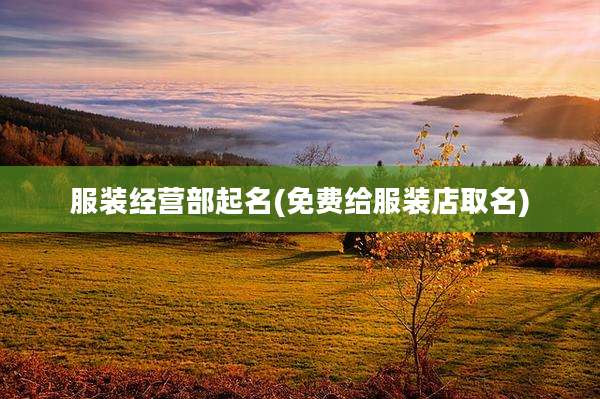 服装经营部起名(免费给服装店取名)