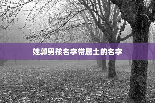 姓郭男孩名字带属土的名字