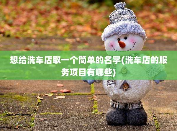 想给洗车店取一个简单的名字(洗车店的服务项目有哪些)