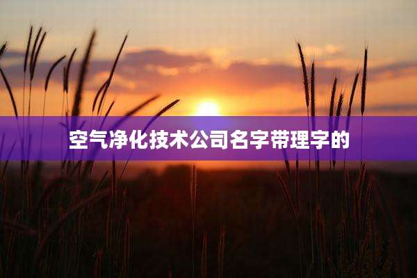 空气净化技术公司名字带理字的