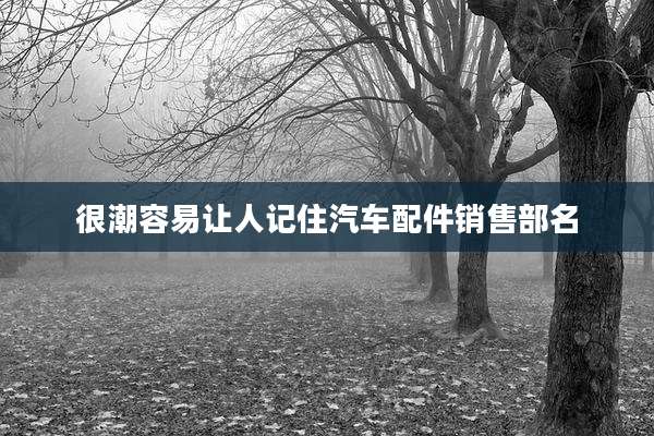 很潮容易让人记住汽车配件销售部名