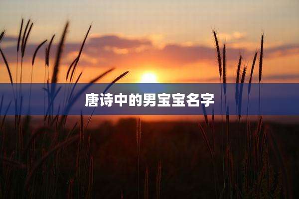 唐诗中的男宝宝名字