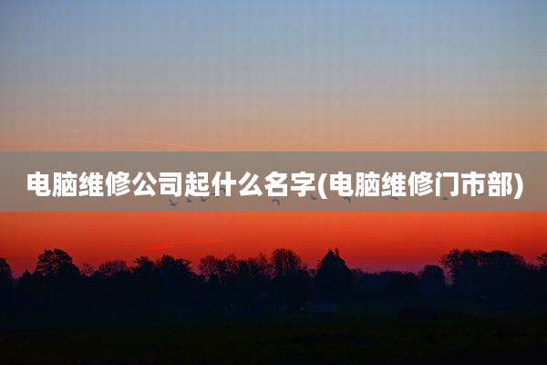 电脑维修公司起什么名字(电脑维修门市部)
