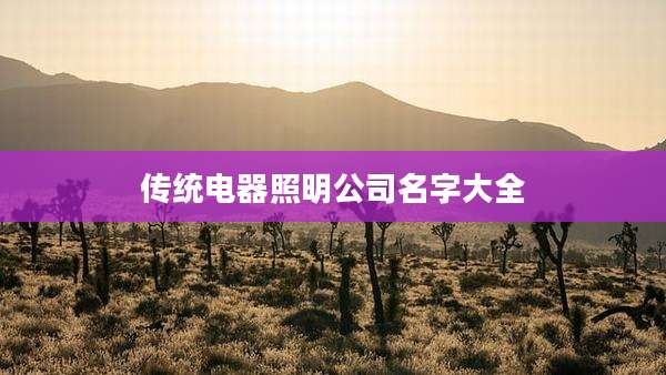 传统电器照明公司名字大全