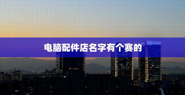 电脑配件店名字有个赛的