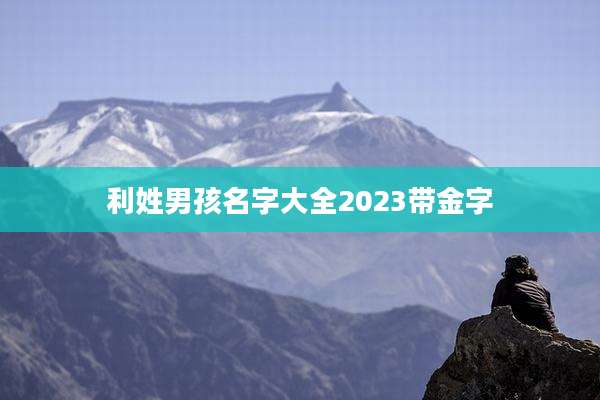 利姓男孩名字大全2023带金字