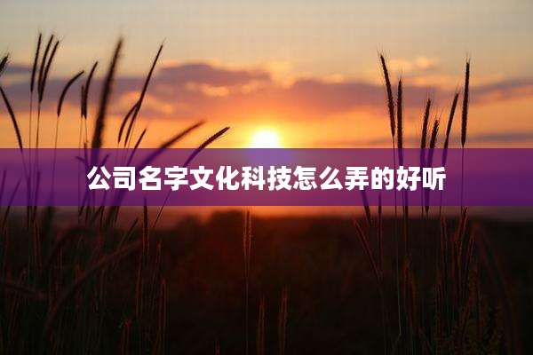 公司名字文化科技怎么弄的好听