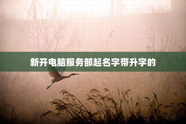 新开电脑服务部起名字带升字的