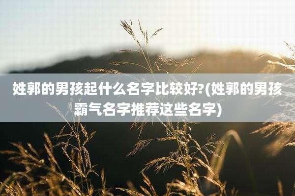 姓郭的男孩起什么名字比较好?(姓郭的男孩霸气名字推荐这些名字)