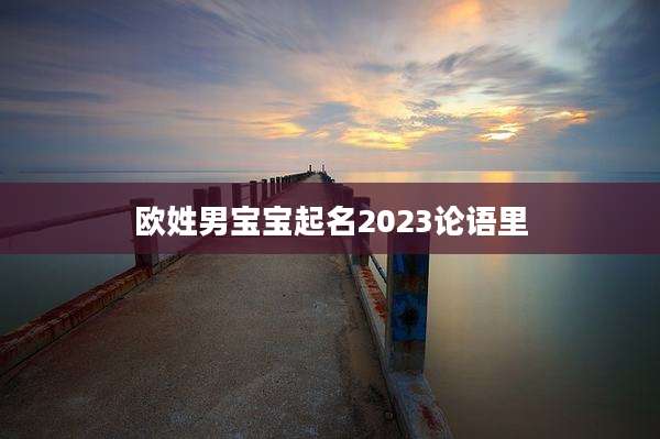 欧姓男宝宝起名2023论语里