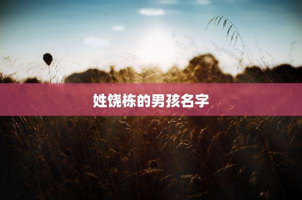 姓饶栋的男孩名字