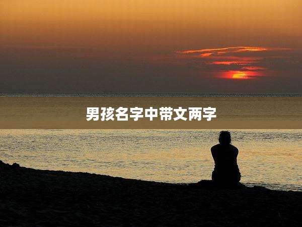 男孩名字中带文两字