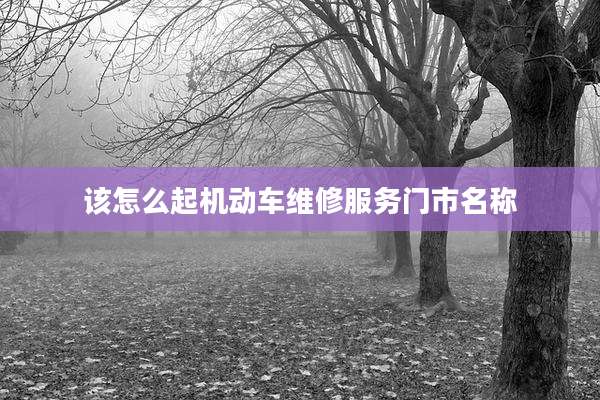 该怎么起机动车维修服务门市名称