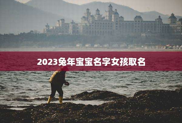 2023兔年宝宝名字女孩取名