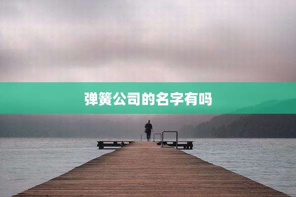 弹簧公司的名字有吗