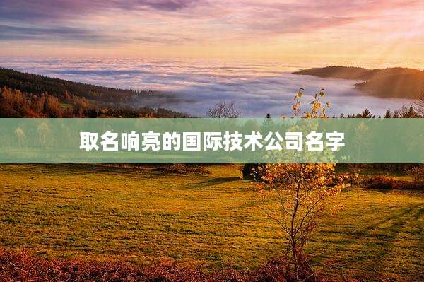 取名响亮的国际技术公司名字